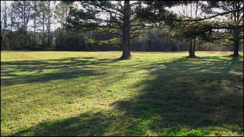 United Plating's exterior office surrounded by land and trees